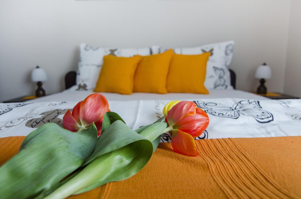 Villa Rose Belgrad Zewnętrze zdjęcie